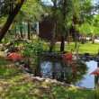 Conoce a los flamencos en el Gran Acuario Mazatlán