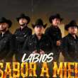 Conjunto Fénix lanza la melodía ‘Labios Sabor a Miel’