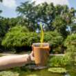 Cafestival llega al Botánico para celebrar el café y el talento local